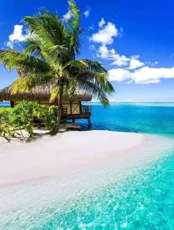 了不起的国宝丨传世珍宝为何流落海外？