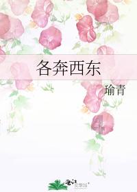 拯救机灵鸟